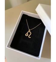 Kişiye Özel 925 Ayar Gümüş Burç Sembol Kolye (Gold)