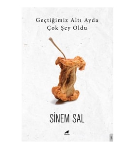 Geçtiğimiz Altı Ayda Çok Şey Oldu