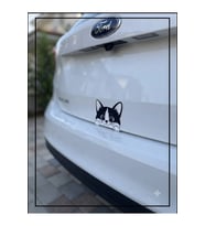 Bagajdan Bakan Sevimli Kedi Sticker Oto Cam Sticker Pc Motor Laptop Sticker 20 cm x 8 cm