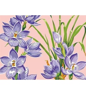 Tatlı Çiçekler Sayılarla Boyama Seti(40x50 cm Tuval Şasesine Gerili)