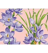 Tatlı Çiçekler Sayılarla Boyama Seti(40x50 cm Tuval Şasesine Gerili)