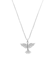 Çelik Kolye Silver 45cm Kuşlu