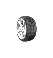185/65R14 86T CARMILE WINTER MILESTONE KIŞ LASTİĞİ 2024