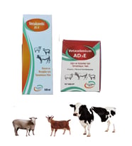 Koyun Ve Buzağılar İçin Vetakombi E Jel 100 ML Ve Vetaselenium AD3E 50 Tablet