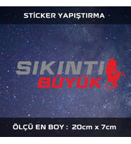 sıkıntı buyuk şeytan kadın etiket sticker - 2 adet çıkartma araba motosiklet kask atv tablet pc buzdolabı otomobil bilgisayar uyumlu