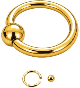Klasik Halka Piercing Tragus Dudak Septum Kaş Smiley Nostril Daith Conch Helix BCR Hoop Piercing
