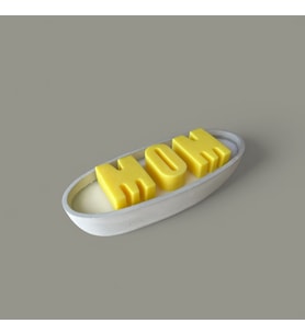 Anneye Hediye El Yapımı Özel Dekoratif Beton Saksıda %100 Doğal Soya Wax Mum