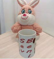 Pembe Ayıcık Ve Kupalı  Hediye Seti