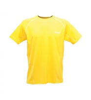 Regatta Kendrik Erkek T-Shirt-SARI