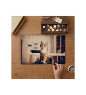 Şaşkın Bakışlı Tekir Kedi Tasarımı 240 parça Ahşap Puzzle Ahşap Kutuda MP05570
