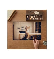Şaşkın Bakışlı Tekir Kedi Tasarımı 240 parça Ahşap Puzzle Ahşap Kutuda MP05570