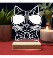 Cool Cat Tasarım 3d Led Lamba