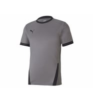 Puma Teamgoal 23 Jersey Erkek Futbol Forması 70417113 Gri