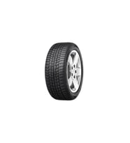 205/55R16 91T WINTECH NEWGEN VIKING (K25) #