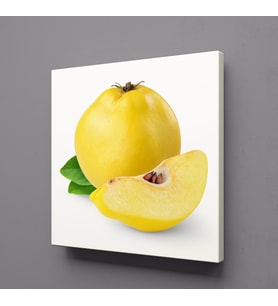 AYVA KANVAS TABLO 70x70cm (Karışık)