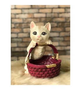 Sevimli Kedili Sepet ve Saksı ile Meyve Sepeti Seti