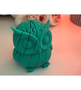 3D Baskı Hareketli Baykuş Figürü - Eklemli Flexi Oyuncak - Mint