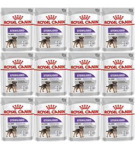 Royal Canin CCN Sterilised Pouch Köpek Yaş Maması 85gr*12 Adet