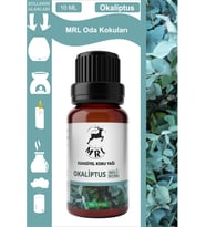 Okaliptus Kokusu Buhurdanlık Yağı Aromaterapi Yağ Difizör Esansı Buhur Yağ Oda Kokusu 10ml (MRL)