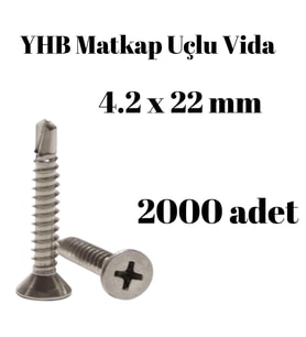 Matkap Uçlu Vida YHB 4.2x22 2000'li Paket