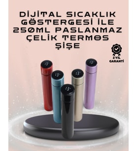 250ml LED Ekranlı Paslanmaz Çelik Akıllı Termos