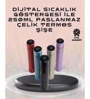 250ml LED Ekranlı Paslanmaz Çelik Akıllı Termos