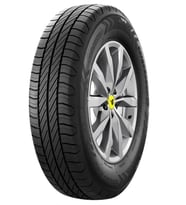 205/75R16C 113/111T CARGO SPEED EVO RIKEN Yaz Lastigi 2025
