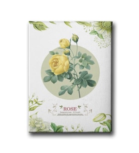 Rose Canvas Tablo MİND205