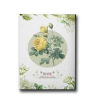 Rose Canvas Tablo MİND205