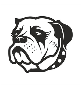 BULDOK KÖPEK FOLYO STİCKER 50cm Uzunluk (Karışık)