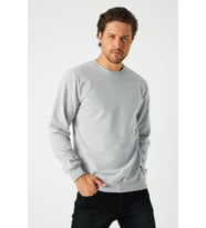 Erkek Gri Basic Bisiklet Yaka Regular Fit Normal Kesim 2 İplik Sweatshirt