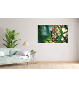 Md61 Kelebek Basklı Uv Baskılı Mdf Tablo