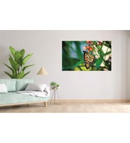 Md61 Kelebek Basklı Uv Baskılı Mdf Tablo