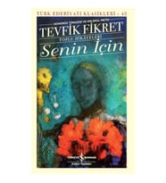 Senin İçin (Günümüz Türkçesi Orijinal Metin) - Türk Edebiyatı Klasikleri
