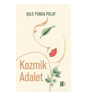 Kozmik  Adalet