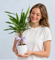 YUKKA ÇİÇEĞİ BEYAZ SAKSIDA