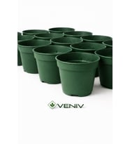 10 Adet Saksı Yetiştirme Çoğaltma Saksısı 8.5 cm