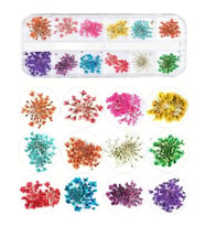 Nail Art kurutulmuş çiçek NG-155