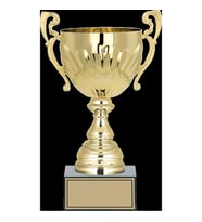 ODAK KUPA - X Large Kupalar - XL-043 C - 29 cm