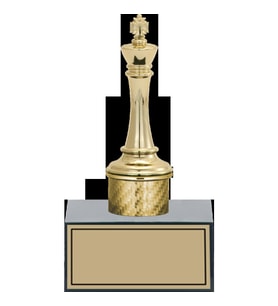 ODAK KUPA - Figürlü Kupalar - Satranç Figürlü Kupalar FG-001 B - 17 cm