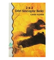2 x 2 Dört Sincaptır Belki