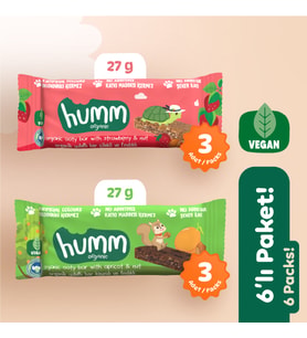 Organik Vegan Yulaf Bar Atıştırmalık Paketi - 6 adet (2 çeşit)