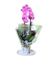 BUKET KAGIDINDA ORKİDE TASARIM