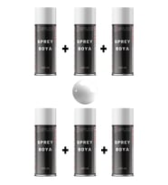 6 Adet Ral 9003 Parlak Beyaz Sprey Boya 400 Ml.