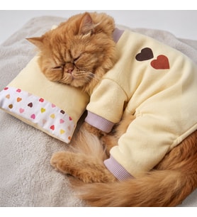 Winter Hearts Kedi Uyku Seti Penye Kedi Tulum ve Mini Yastık Takımı Pamuklu Tüy Dökülmesini Azaltır
