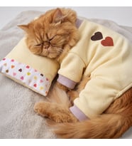 Winter Hearts Kedi Uyku Seti Penye Kedi Tulum ve Mini Yastık Takımı Pamuklu Tüy Dökülmesini Azaltır