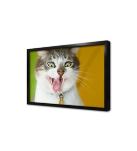 Kedi Çerçeveli Mdf Tablo