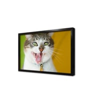 Kedi Çerçeveli Mdf Tablo
