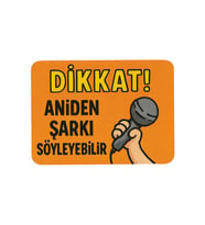 Araba ve Buzdolabı Magneti: Dikkat! Aniden Şarkı Söyleyebilir (Standart)