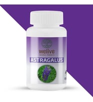 Welive Astragalus 60 Kapsül